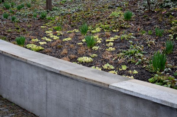 Cost of Concrete Wall Construction in Stamford