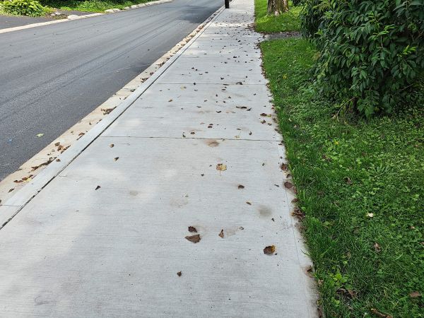 Cost of Sidewalk Renovation in Stamford