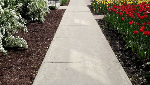 Cost of Sidewalk Slab Replacement in Stamford