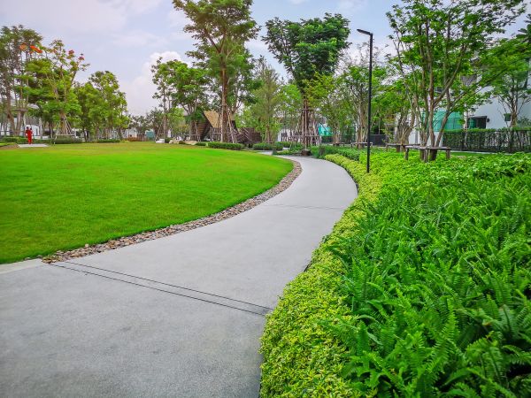 Cost of Cement Walkway Service in Stamford